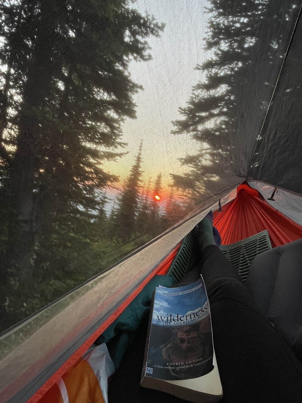Hammock, book, & sunset by Holly Weiler