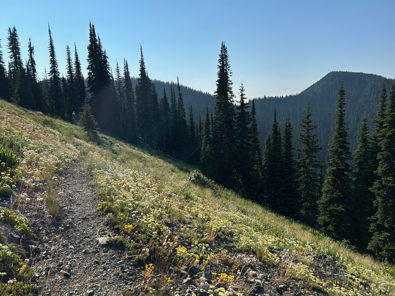 On the way to Shedroof Mountain
