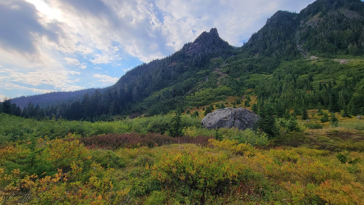 Brief views from Low Divide