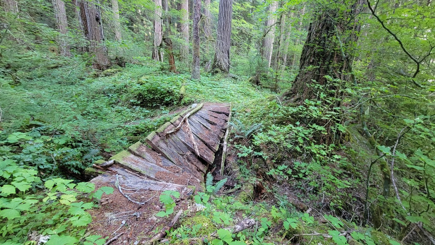 Bridge of doom, or bridge of chanterelles?