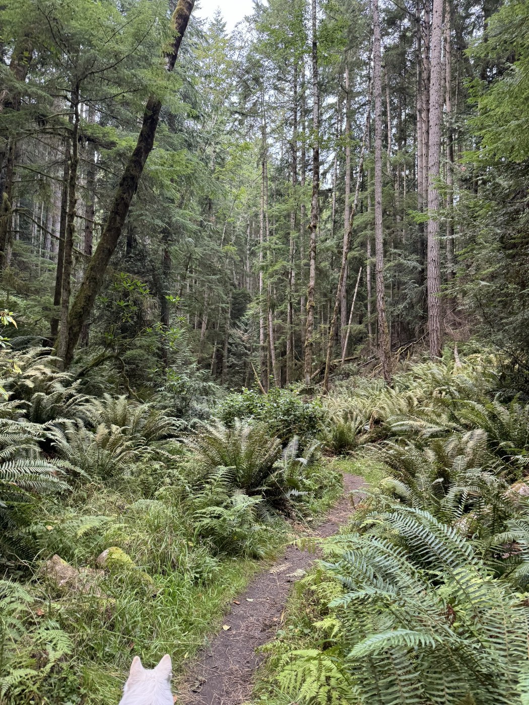 Miller Peninsula-Thompson Spit by Alex Pat