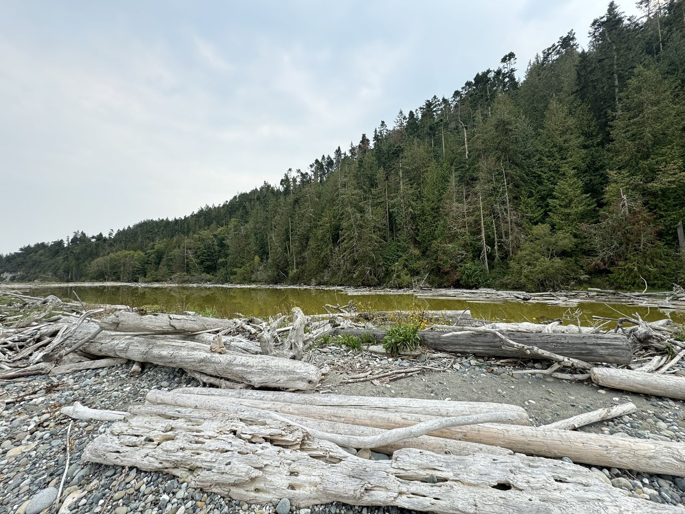Miller Peninsula-Thompson Spit by Alex Pat