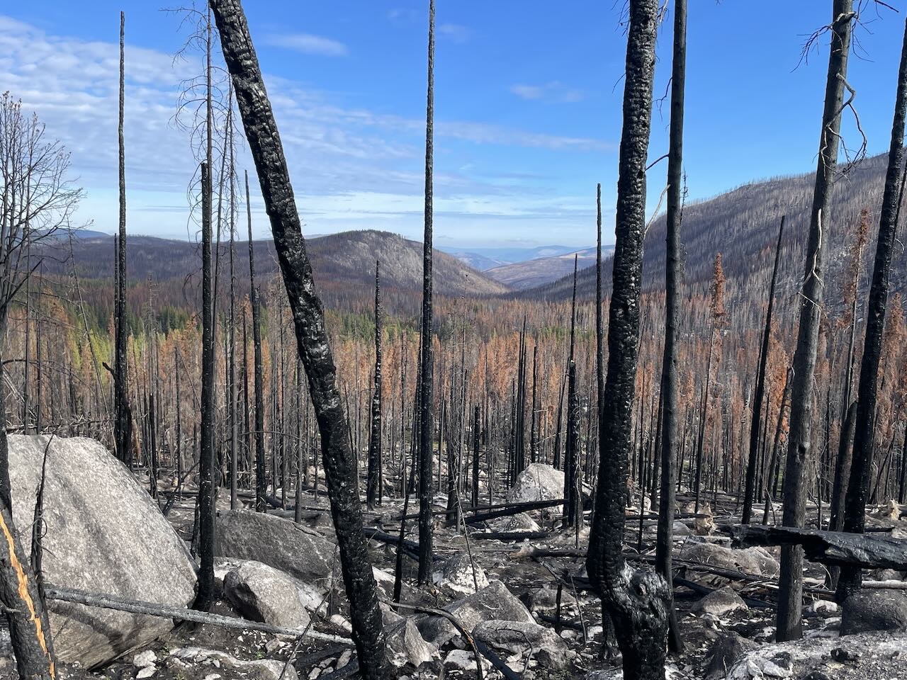 saw lots of burned areas, went through recent burn only for a couple of miles