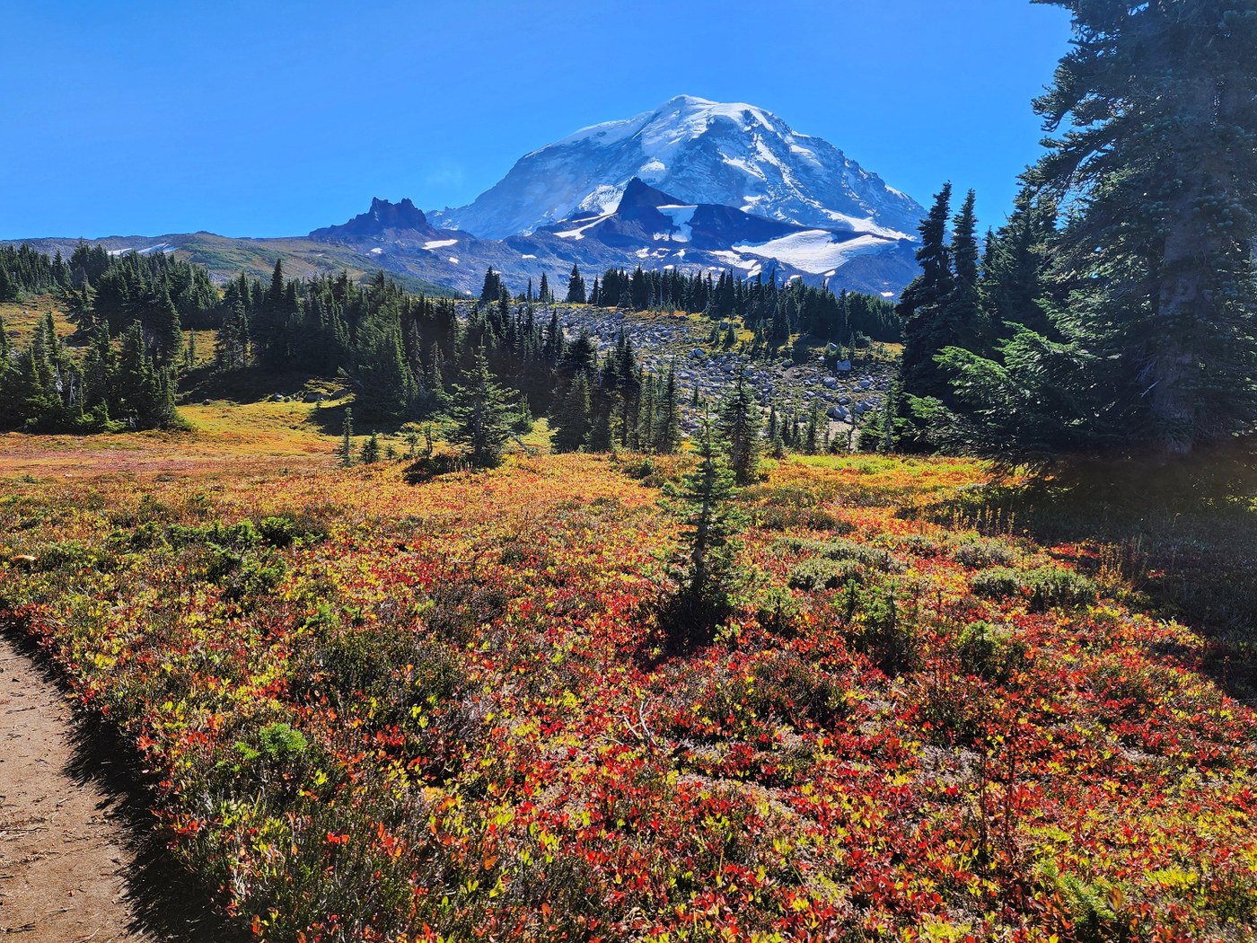 Fall colors at the meadow
