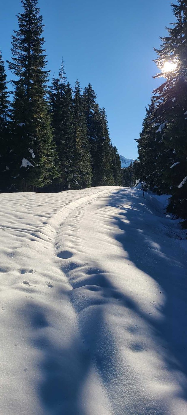 Mowich Lake Snowshoe by Christy