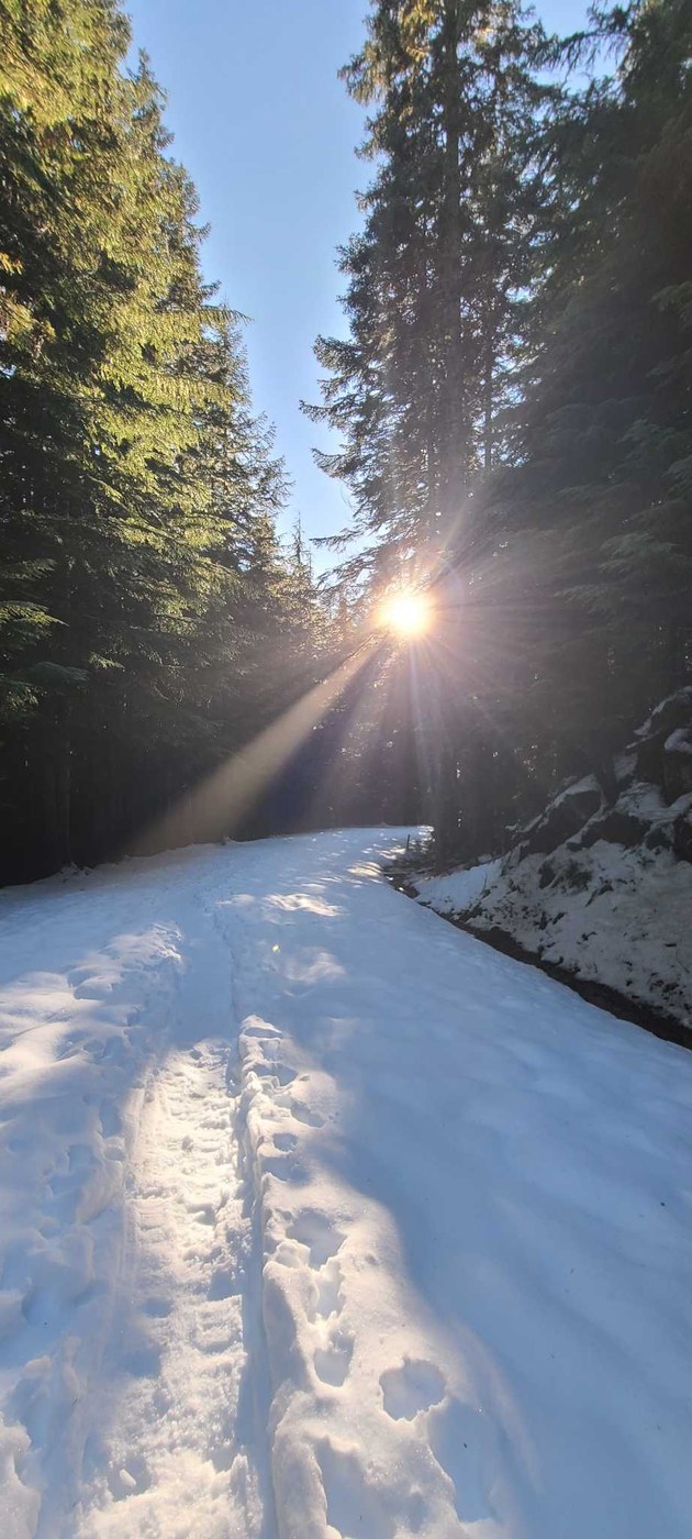 Mowich Lake Snowshoe by Christy