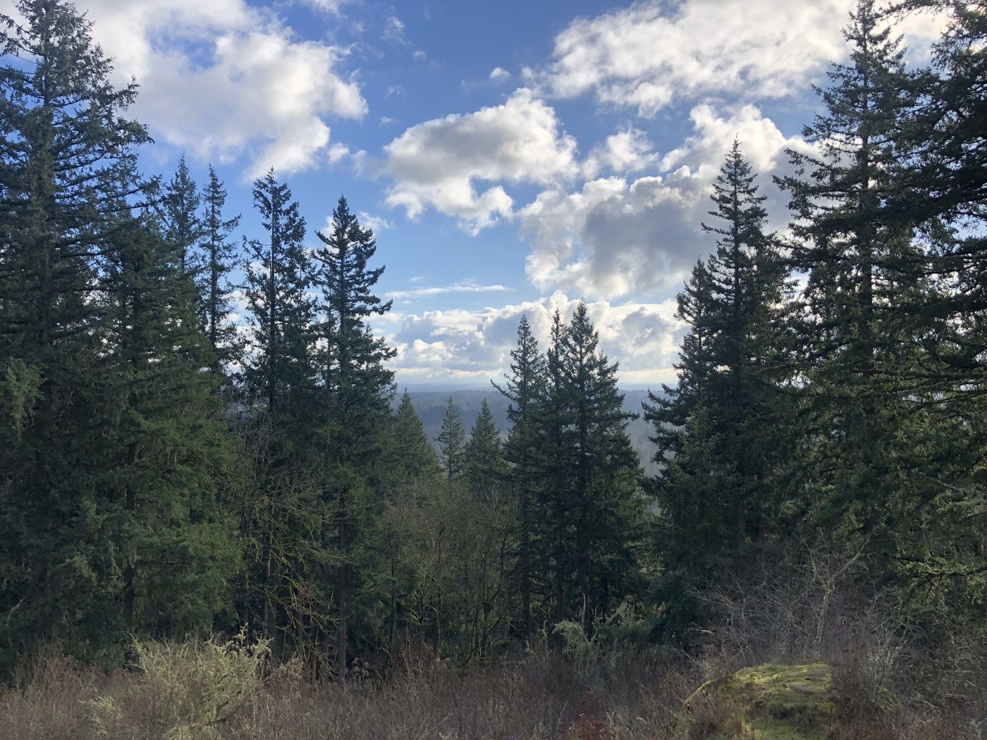 Spring Lake/Lake Desire Park - Echo Mountain by koribe