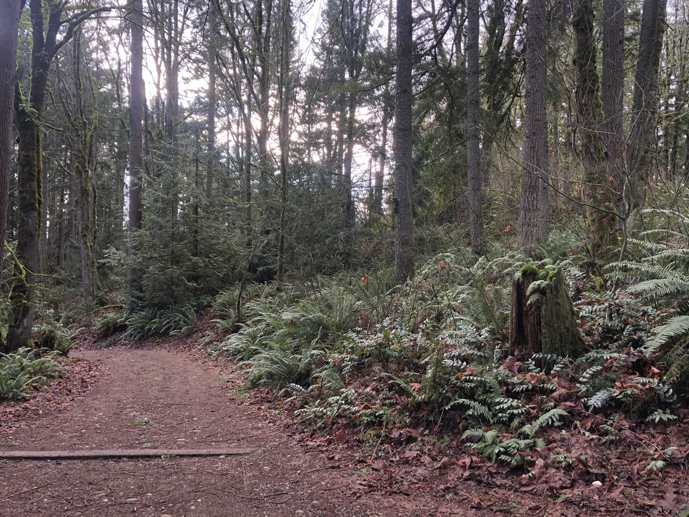 Spring Lake/Lake Desire Park - Echo Mountain by koribe