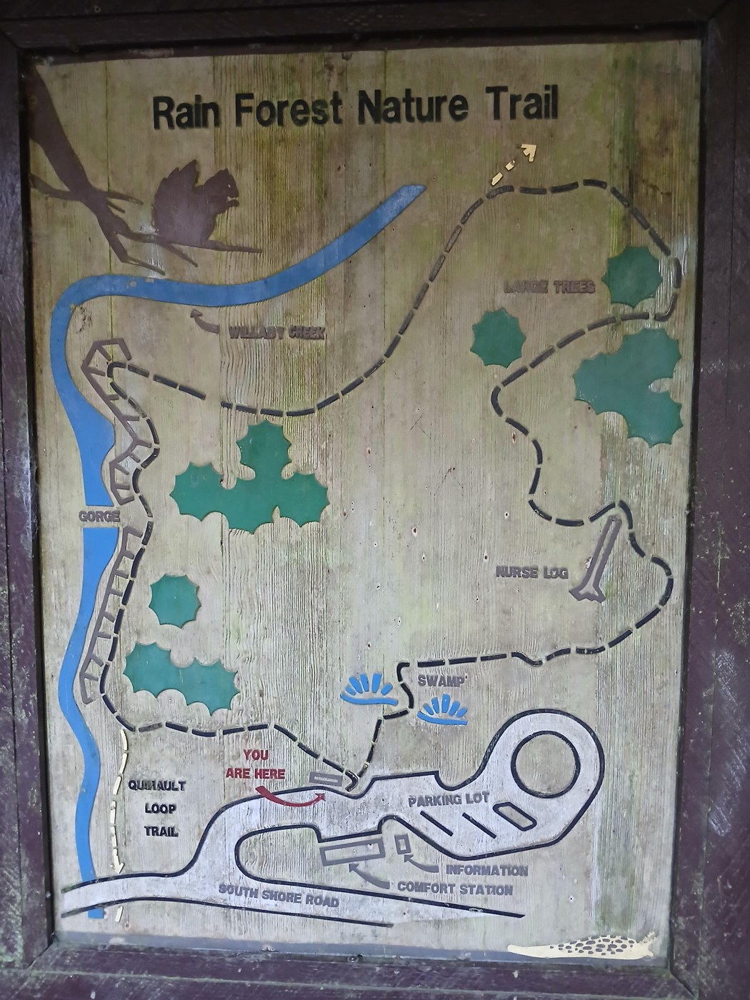 Map of Rain Forest Nature Trail - Lake Quinault