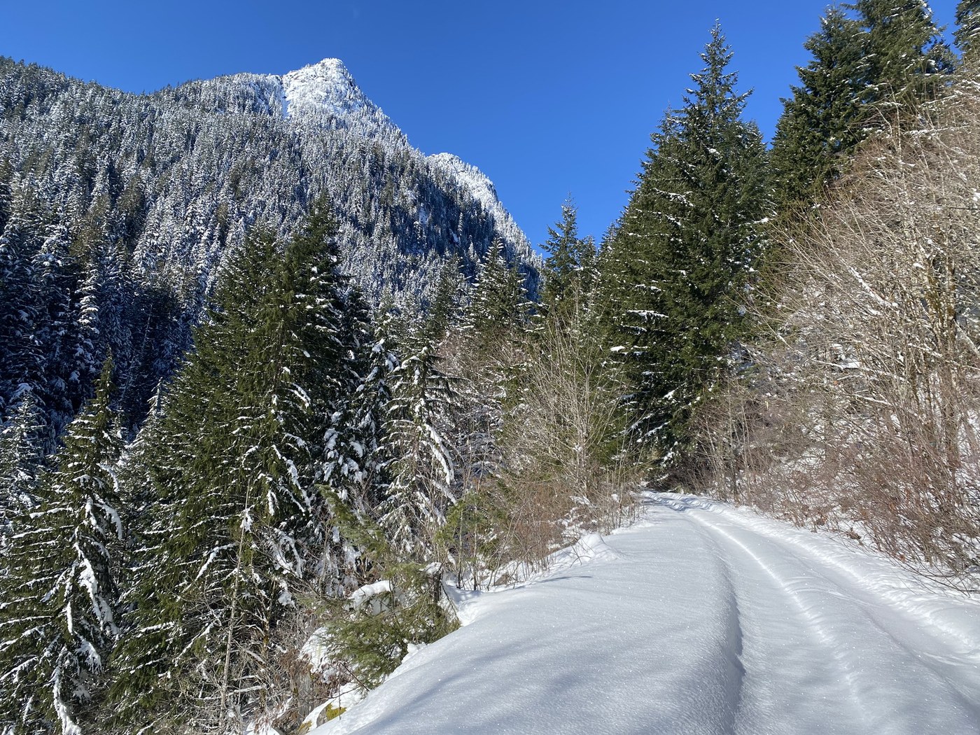View from the road walk up to the trailhead