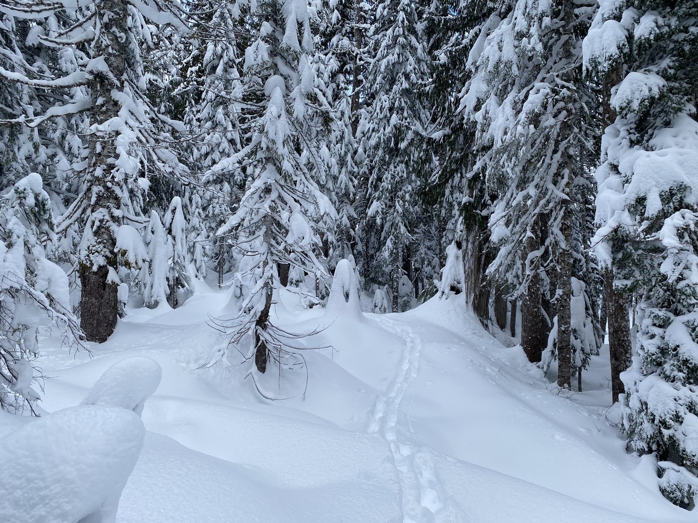 Following my tracks back down