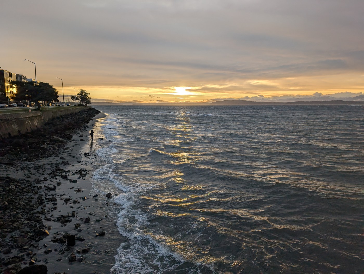 Alki Trail. Photo by tiffanyc. A sunset along the Alki Trail and Beach. Photo by trip reporter tiffanyc.
