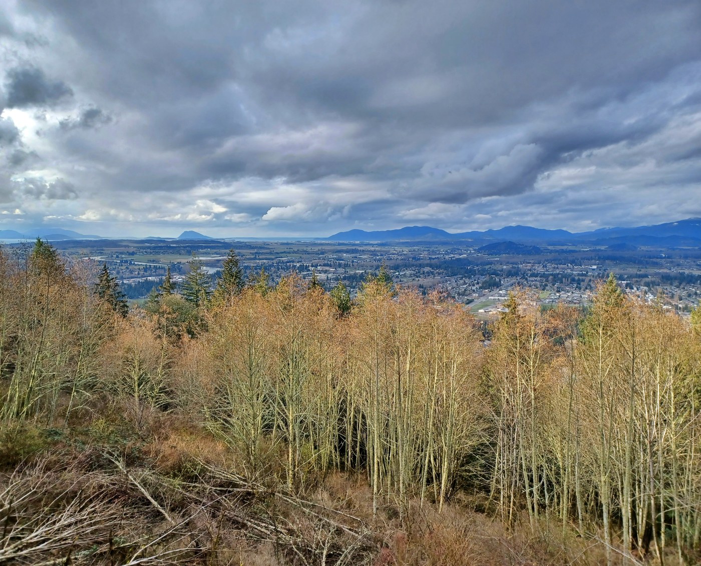 View from the north viewpoint at Little Mountain Park on a work party. Photo by trip reporter OneHundredMilesAYear.