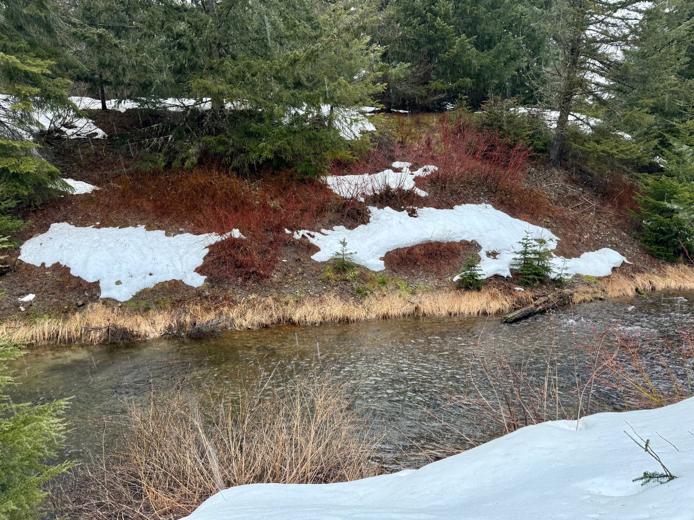 Receding snow revealing colors
