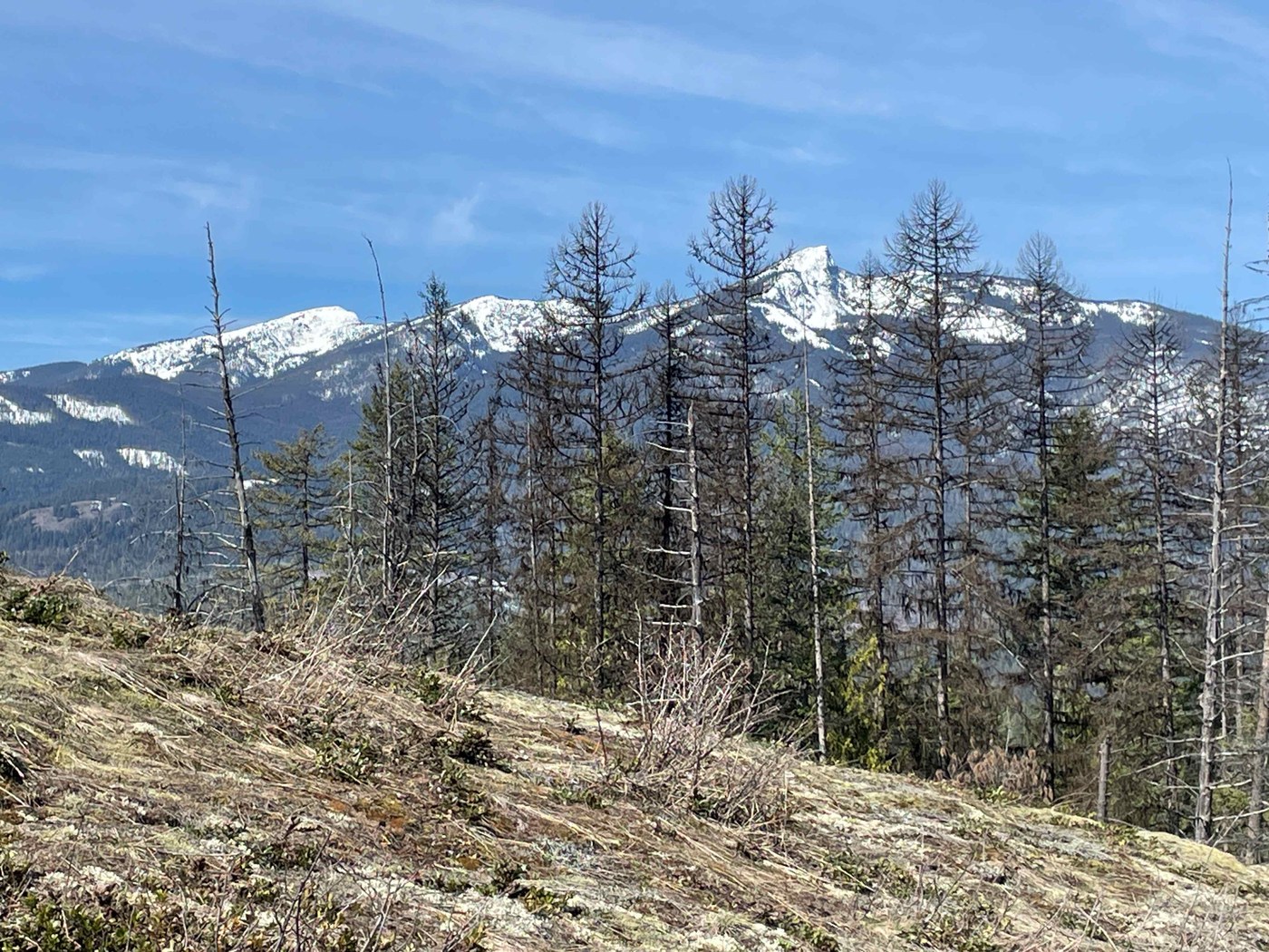 Abercrombie & Hooknose from the Halliday Trail.