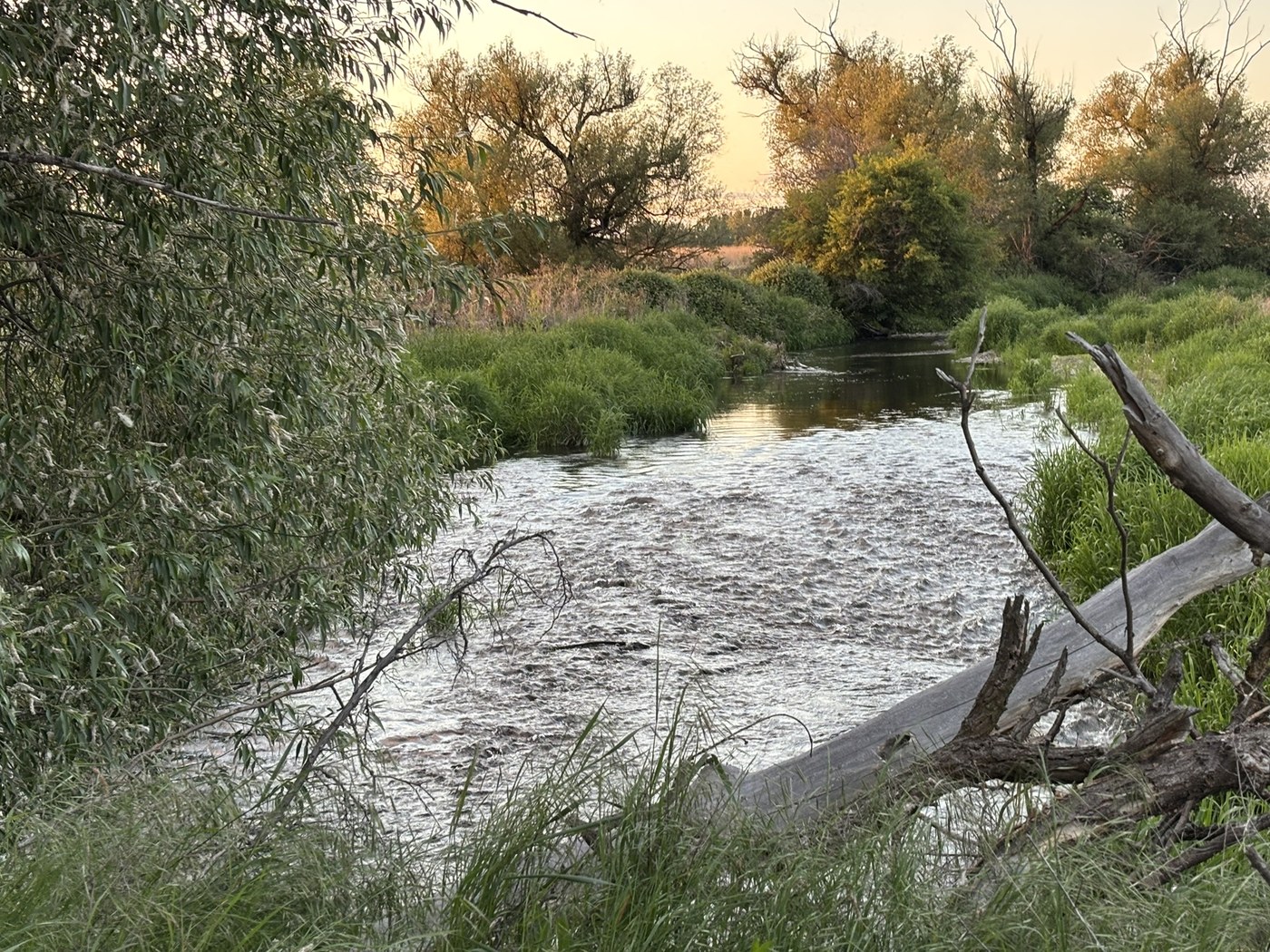 Whitman Mission National Historic Site. Sunset colors reflecting off a stream. Photo by GreenGrr.