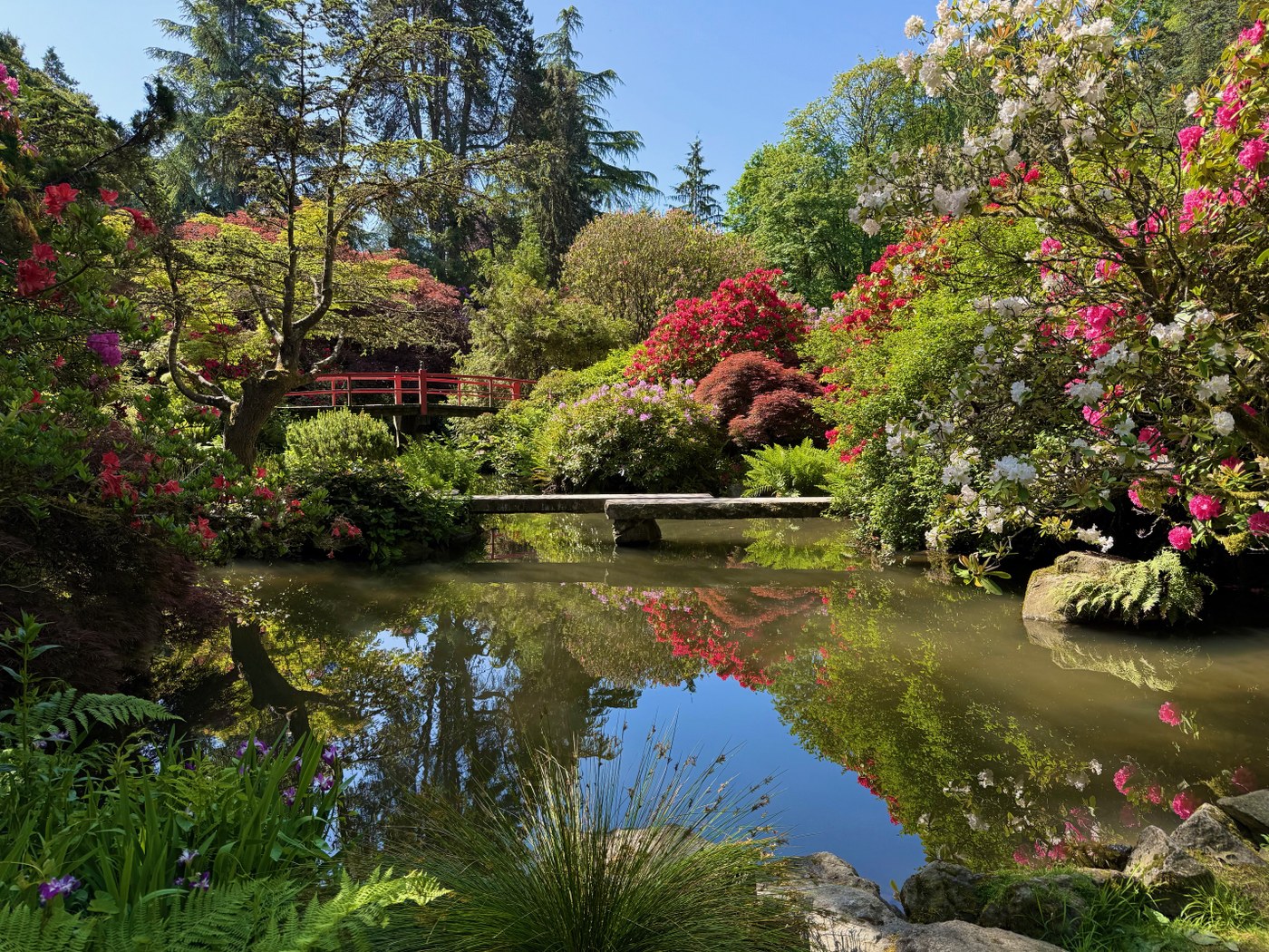 Kubota Gardens. Photo by youcandoit. Blooming flowers and bridges over the ponds at Kubota Gardens on a clear day. Photo by trip reporter youcandoit.