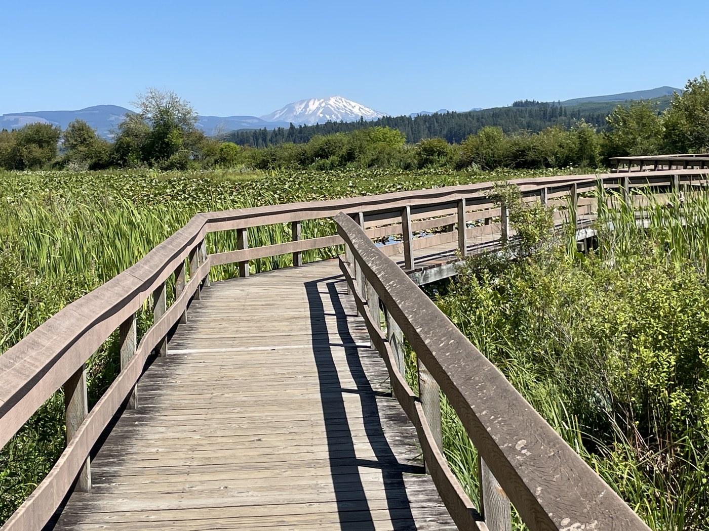 Silver Lake at Seaquest State Park. The boardwalk at Silver Lake at Seaquest State Park, with Mount St. Helens in the distance. Photo by Shutterbug Fotos.