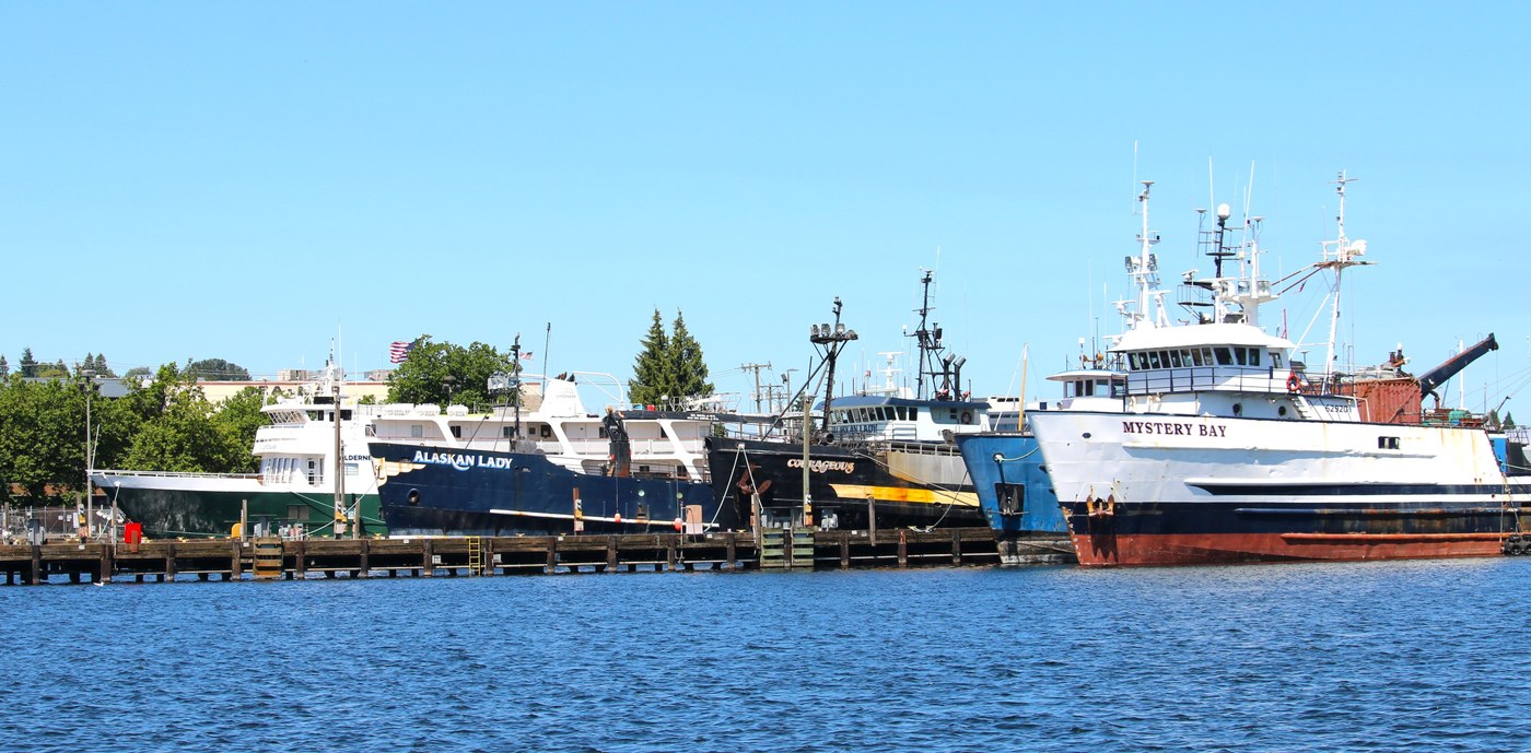 some of the fleet tied up at Fisherman's Terminal on the west end of the trail