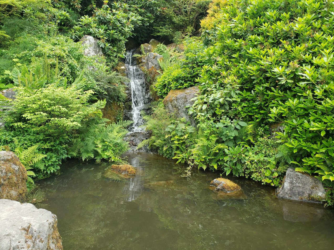 Kubota Gardens by nwroth