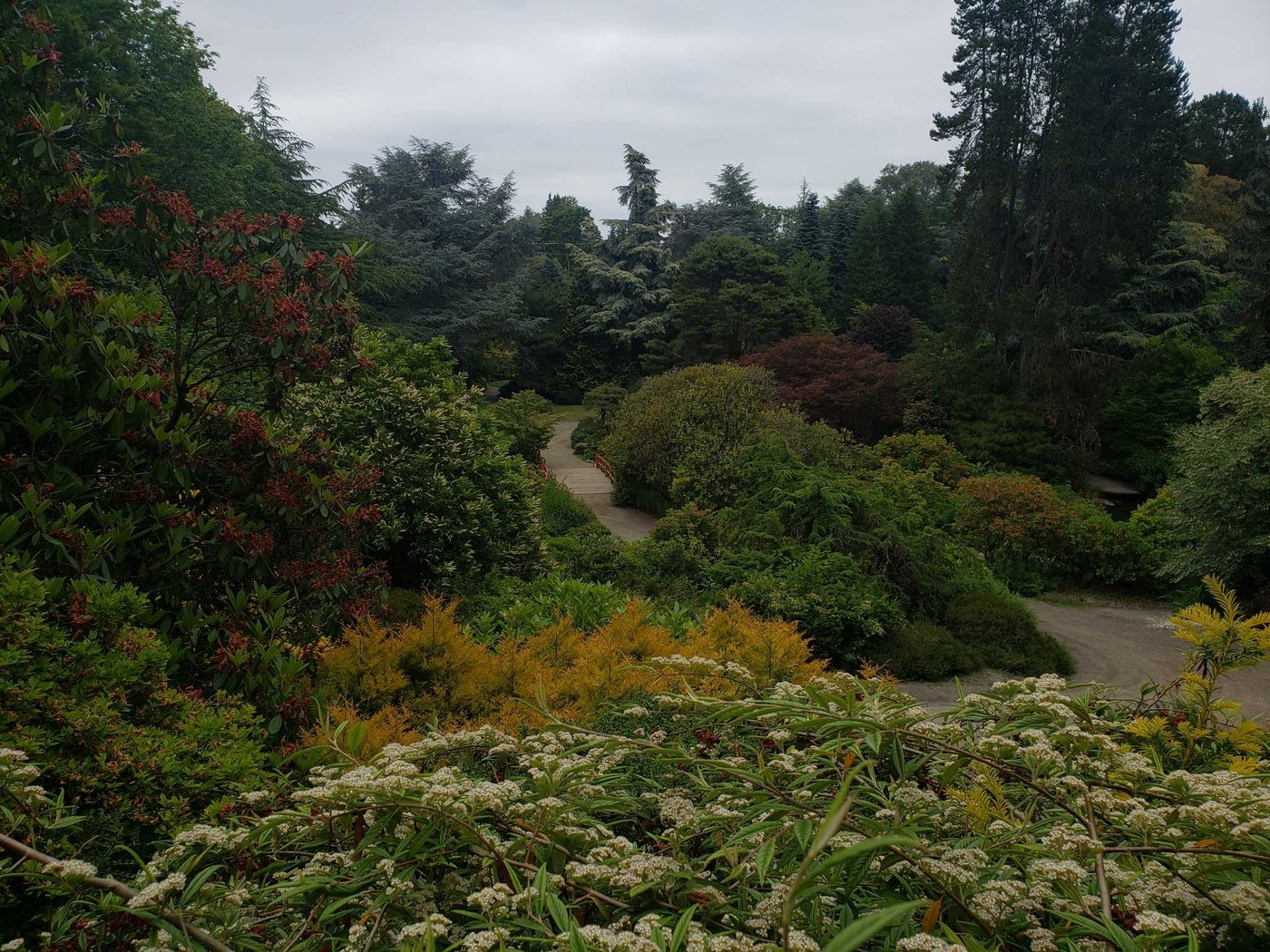 Kubota Gardens by nwroth