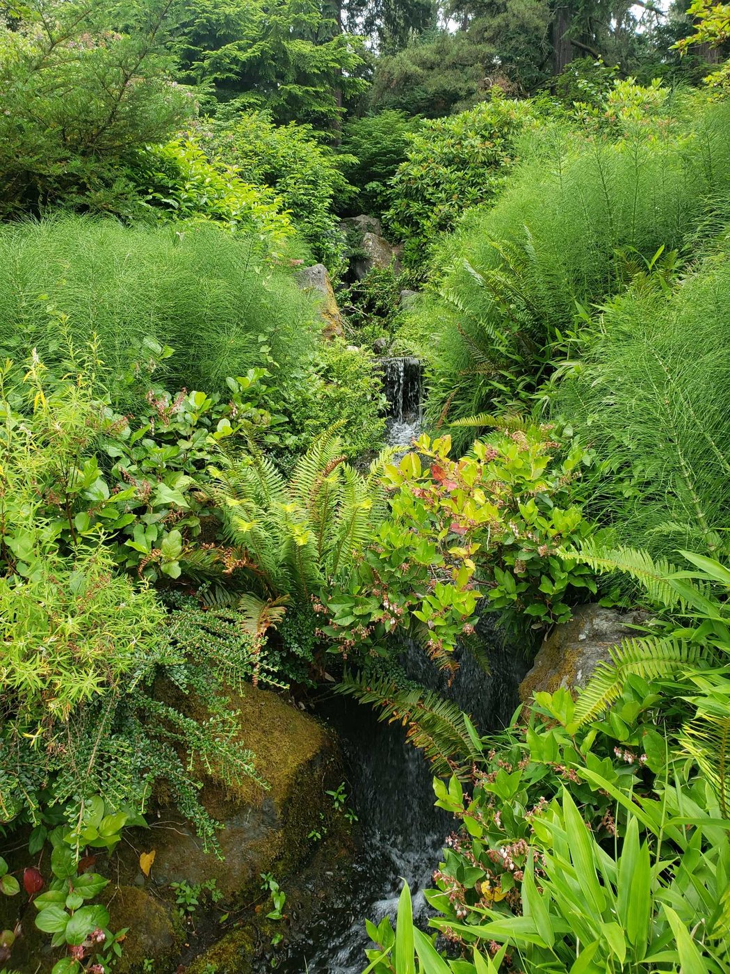 Kubota Gardens by nwroth