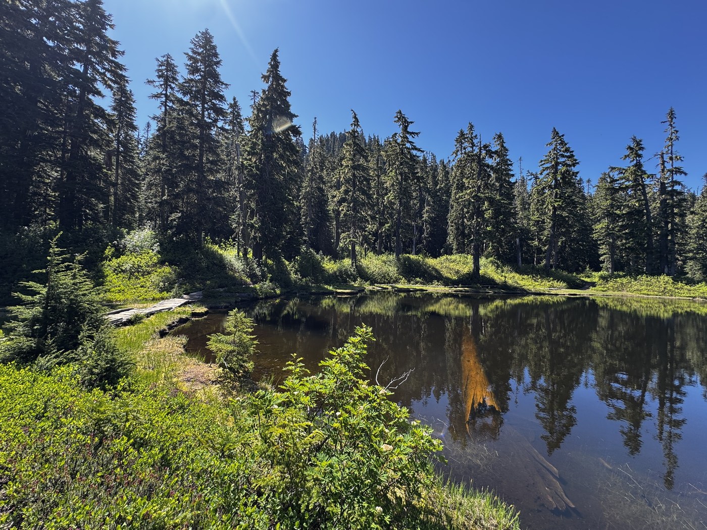 Excelsior Peak via Damfino Lakes Trail by Shellyf