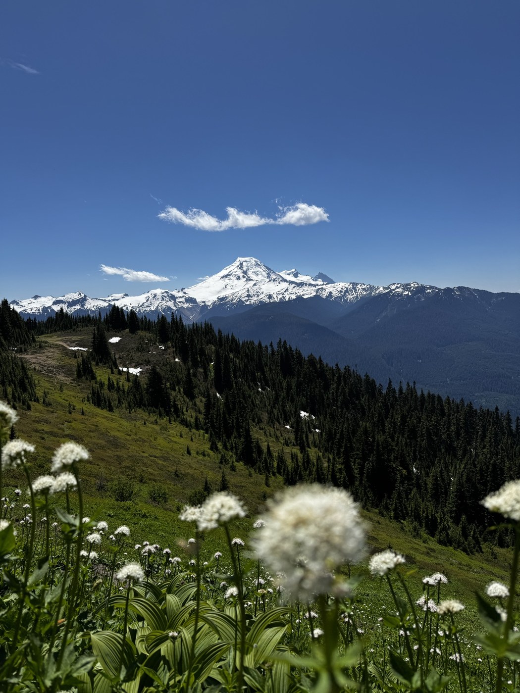 Excelsior Peak via Damfino Lakes Trail by Shellyf
