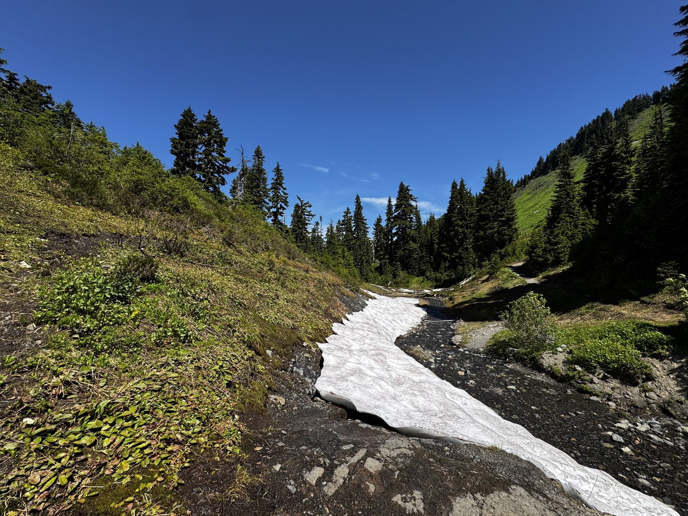 Excelsior Peak via Damfino Lakes Trail by Shellyf