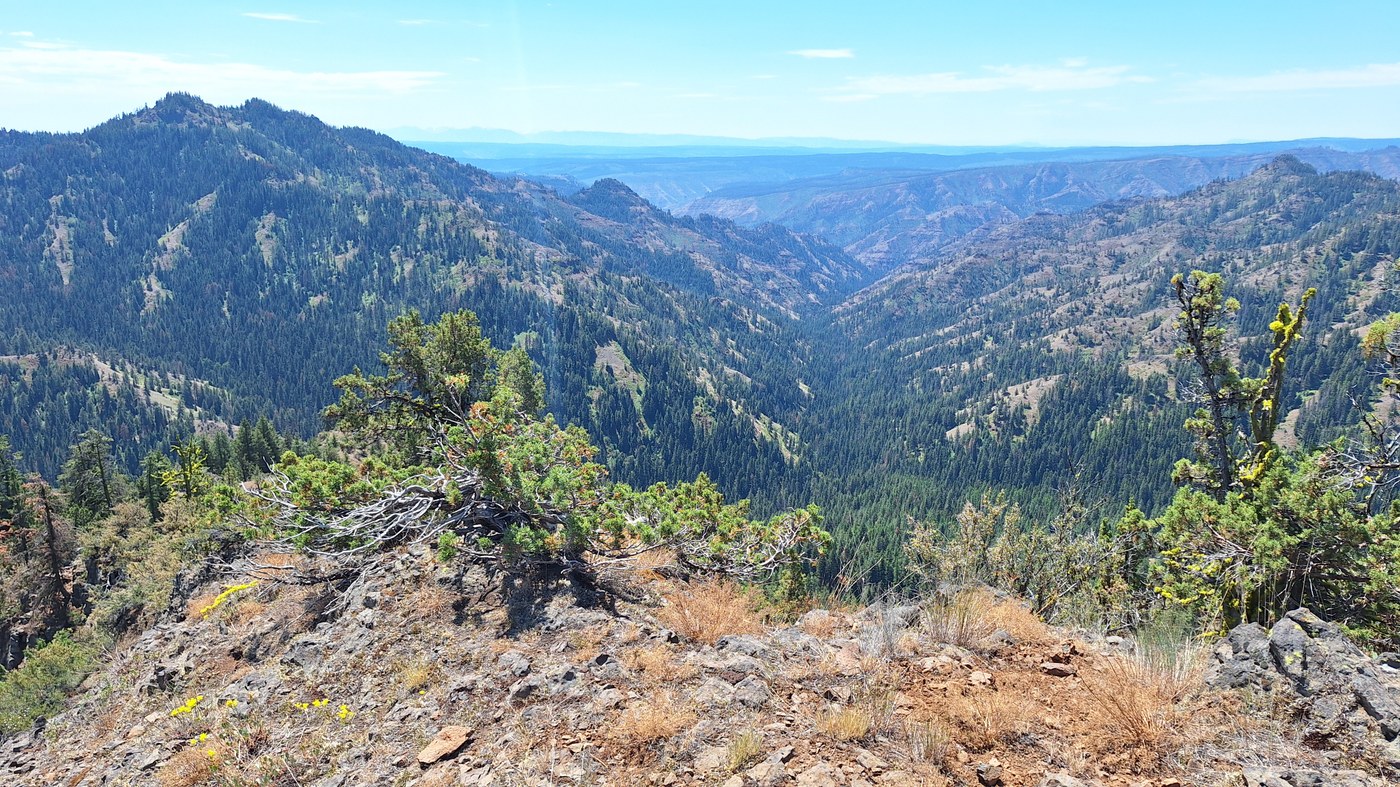 Hard-won view from partway up Melton Fork Trail
