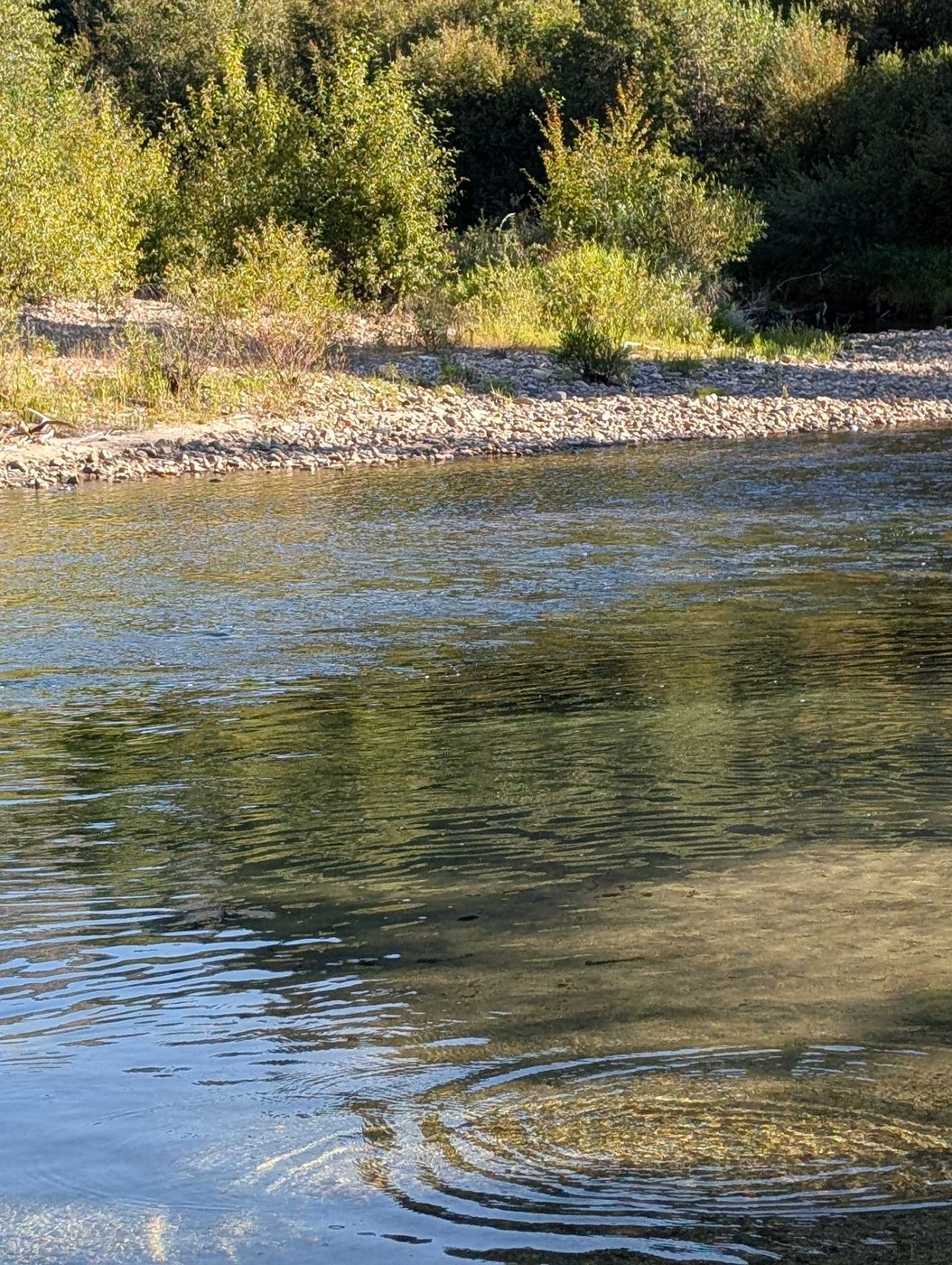 Entiat River by Kathy & Roger