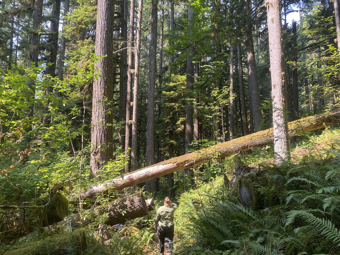 Rockport State Park by Spkeck805