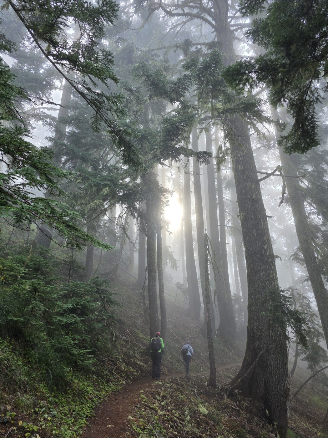 Sun shining thru fog