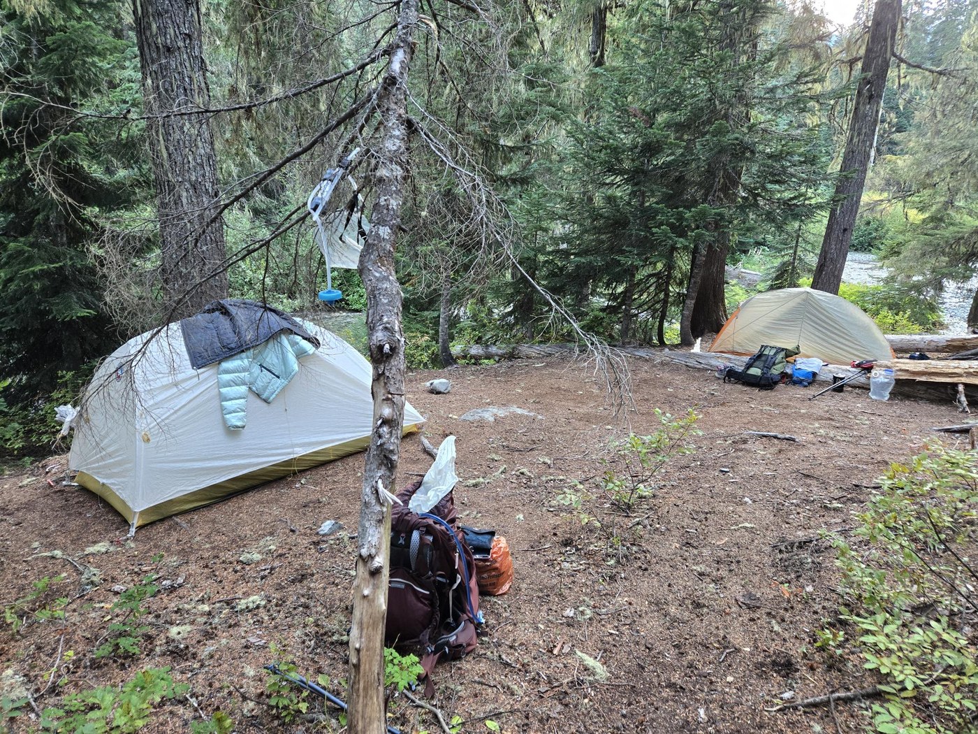 A campsite with tents and other camping gear around at Pete Lake. Photo by trip reporter GoOutside.