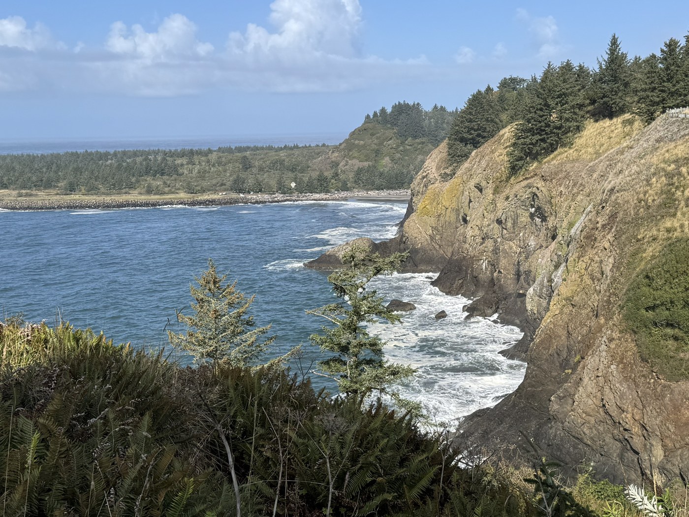 Cape Disappointment Lighthouse. Photo by therealmchoy. Waves crashing along the bluffs at Cape Disappointment State Park. Photo by therealmchoy.