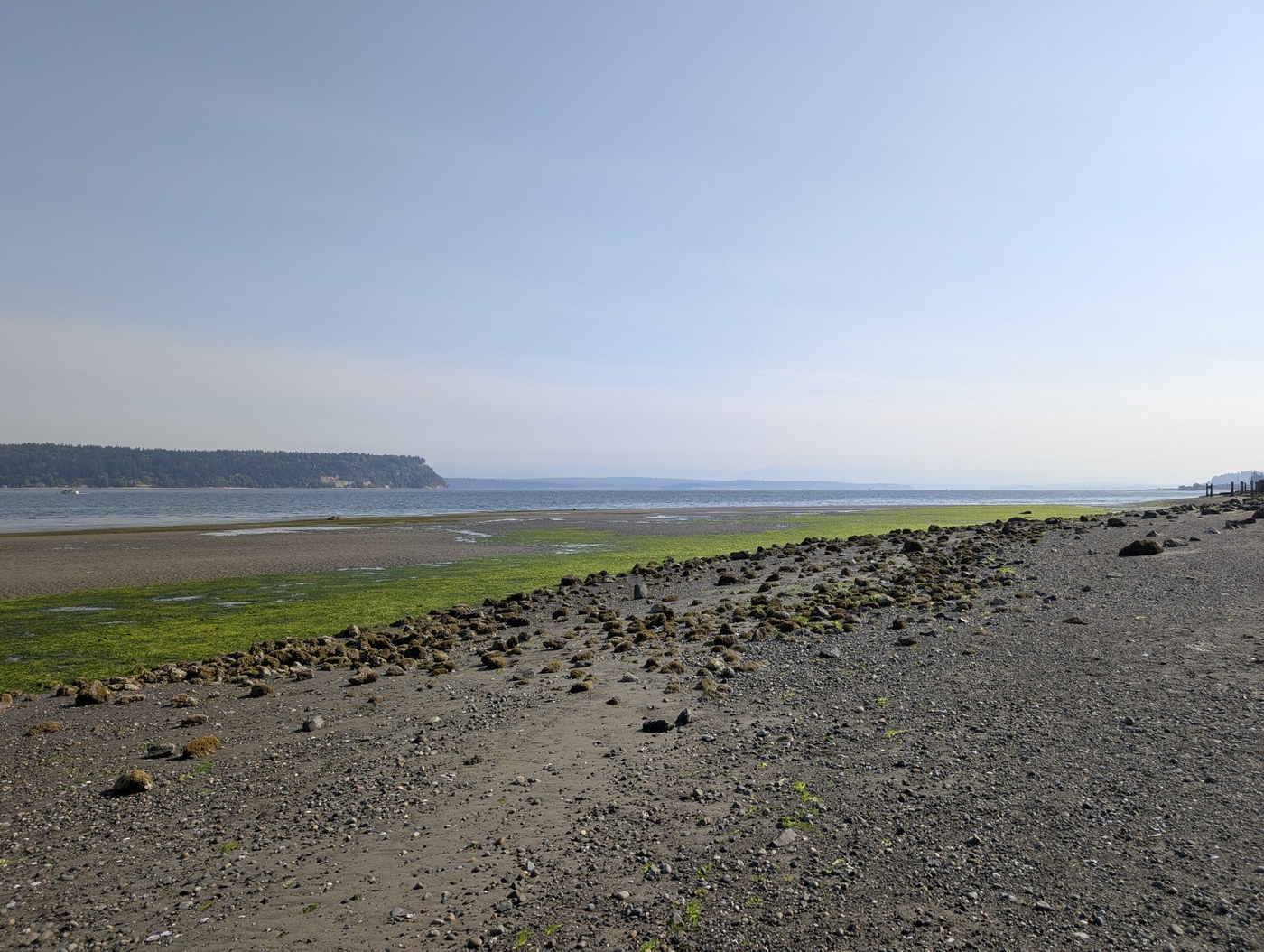 Pebble beach for wandering