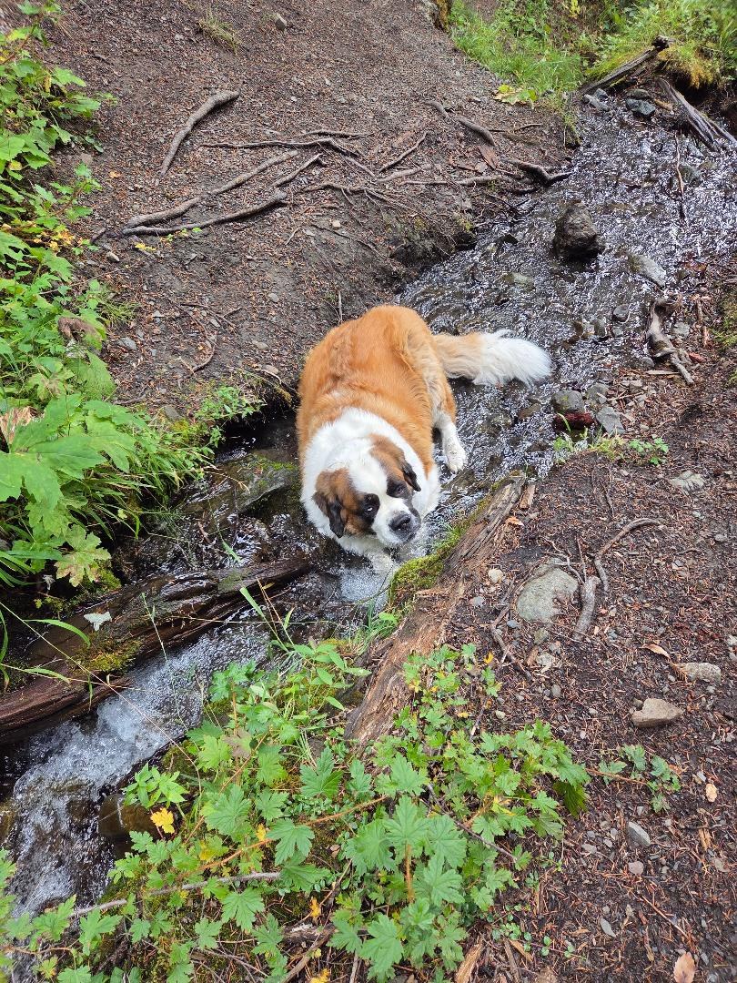 Mueller Creek water stop at 4200 ft