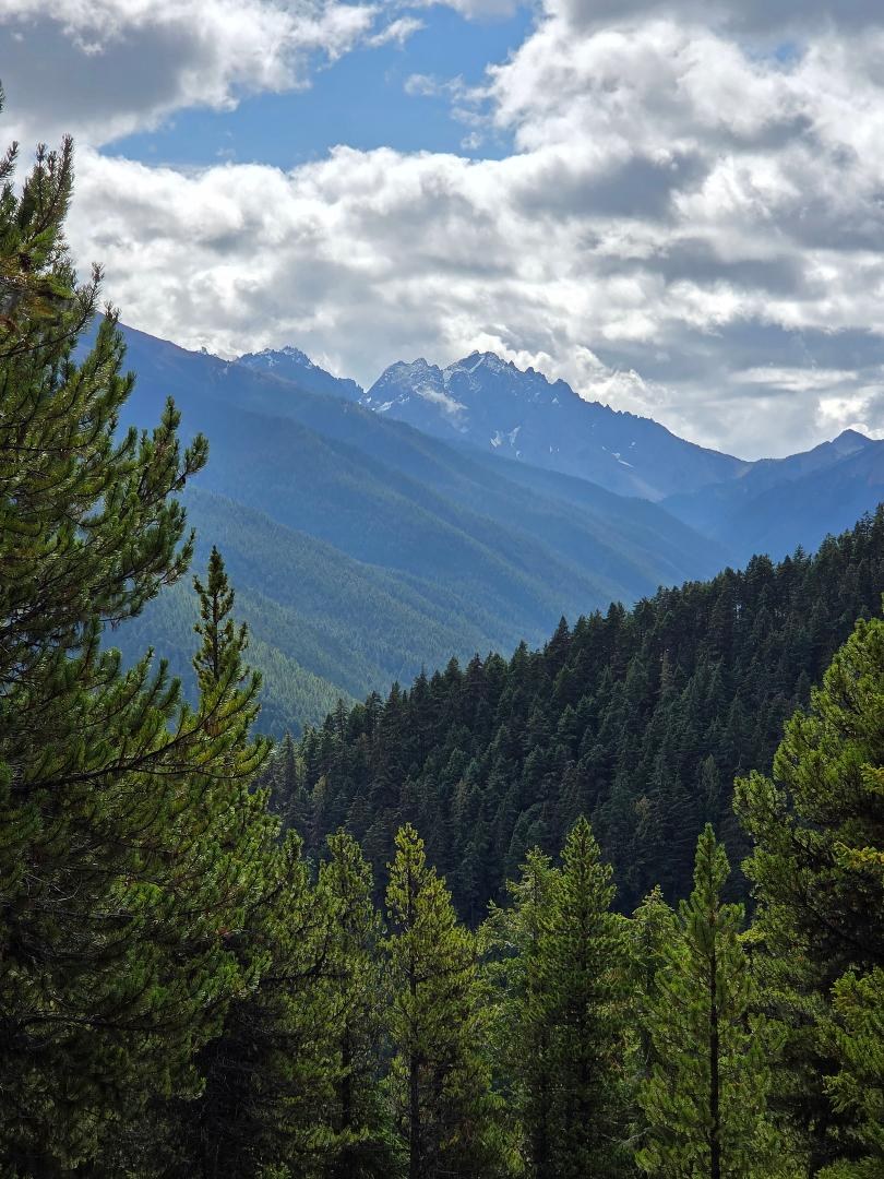 Mt Constance with old and new snow