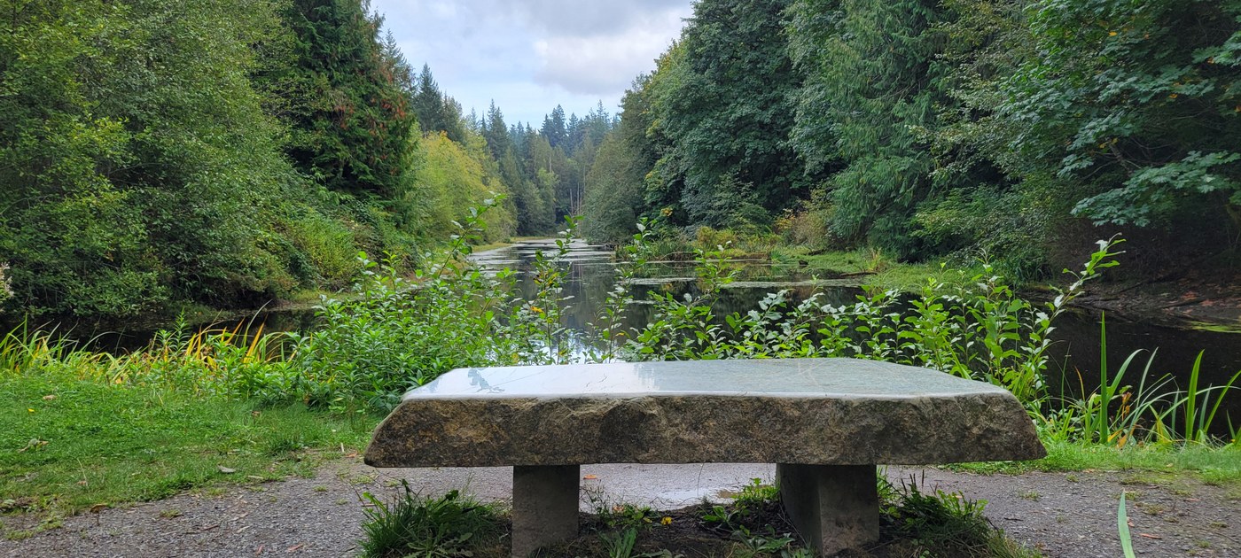 Zen bench, Geneva Pond
