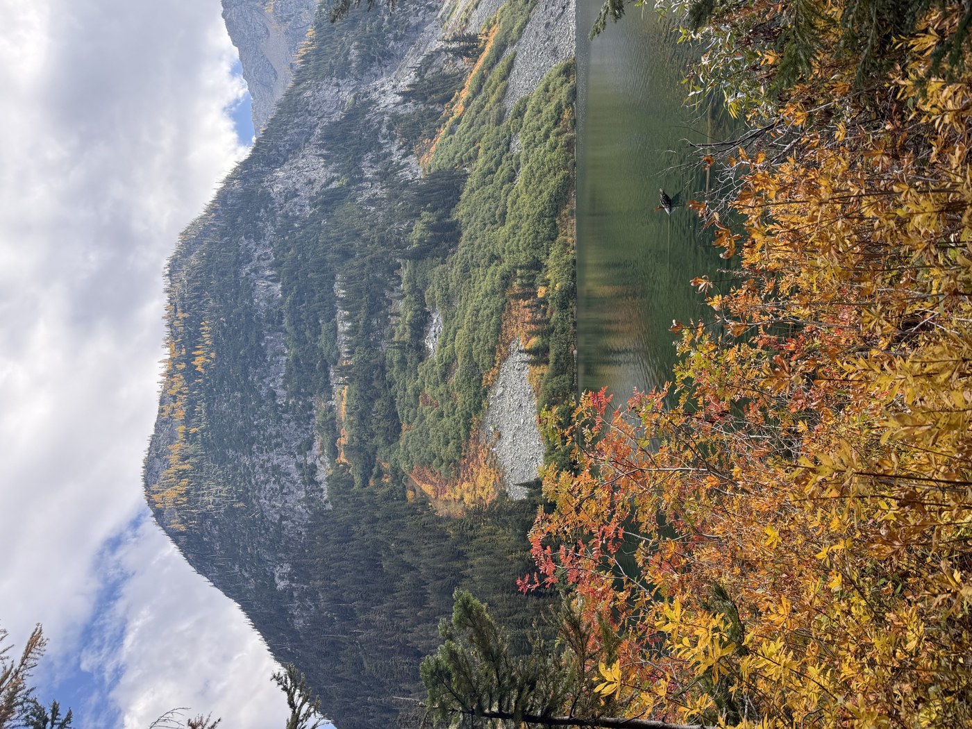 Fall colors at Rainy Lake
