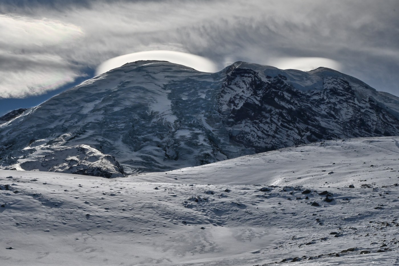 A view of a snowy Mount Rainier along the Glacier Basin and Burroughs trail. Photo by trip reporter DRDana. 