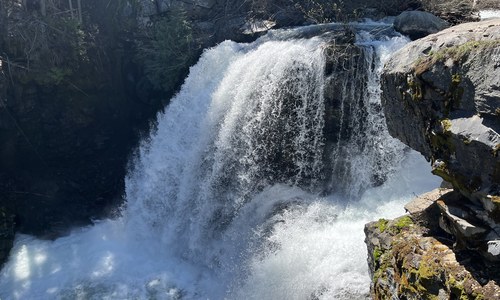 Waterfalls, sunshine, flowers