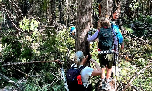 Storm damage & summer hikes