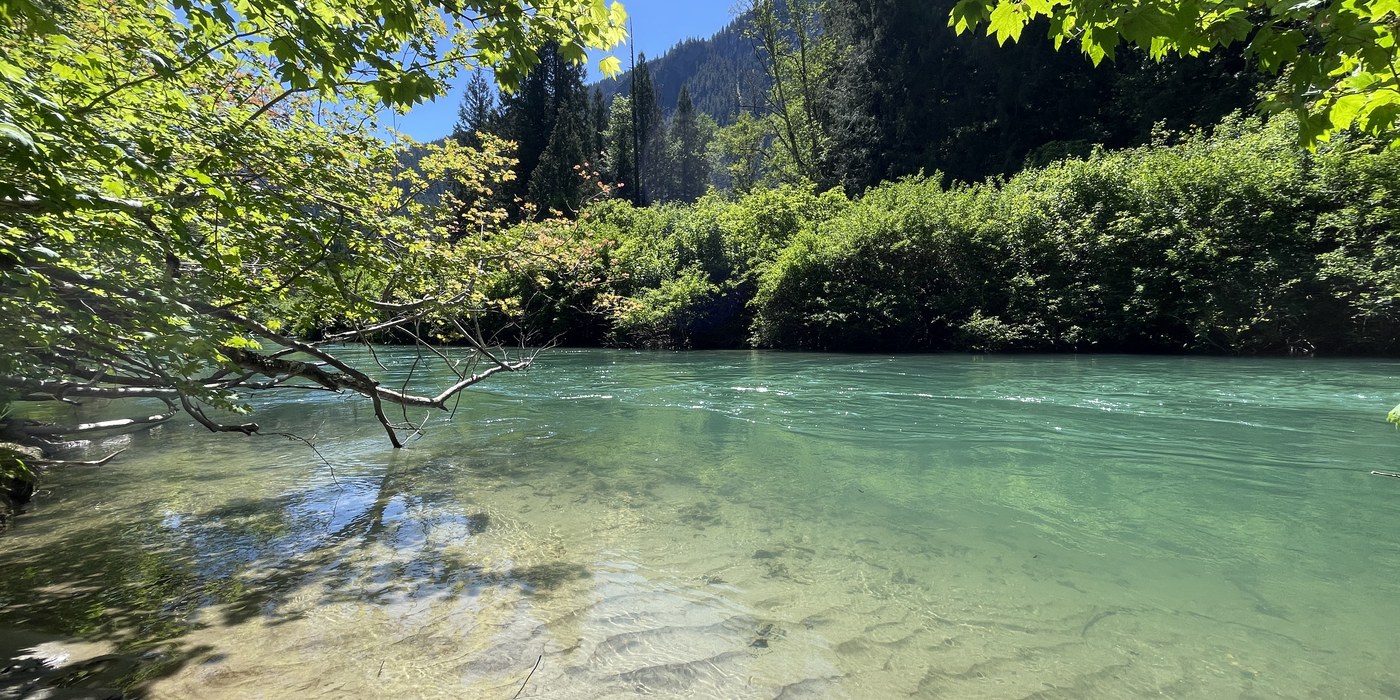 Trip Reports