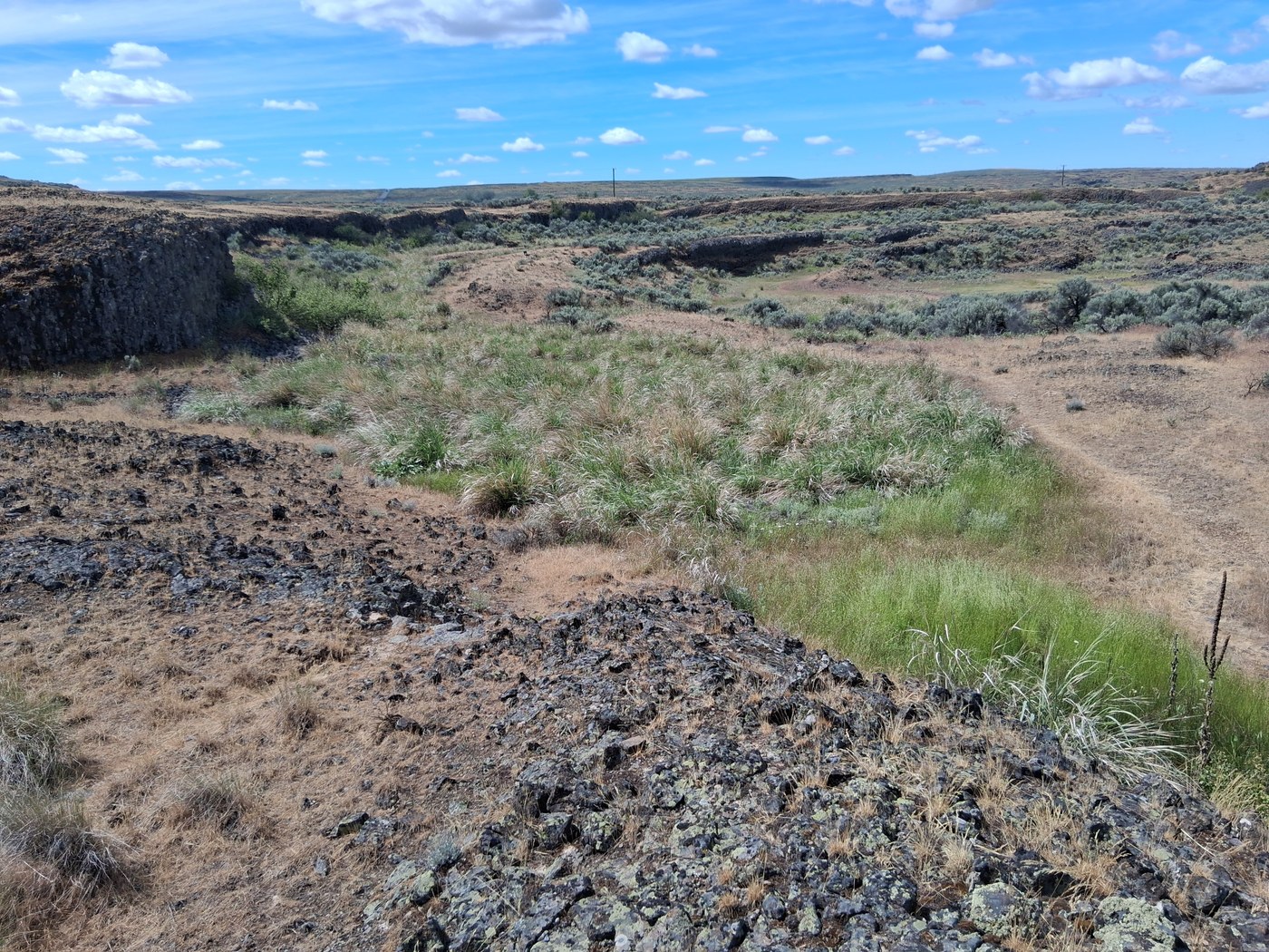 Odessa Craters. A large open space in the Odessa Craters. Photo by Jukebox Jim.