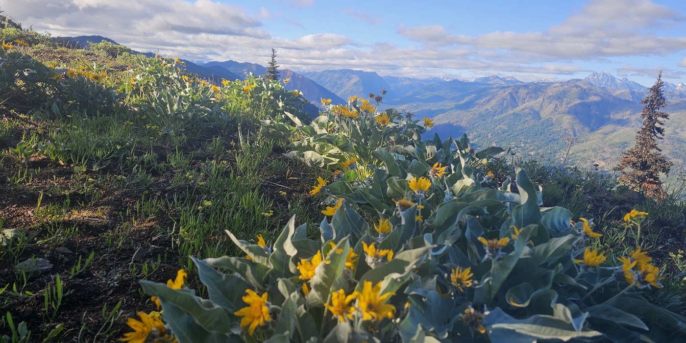 Trip Reports