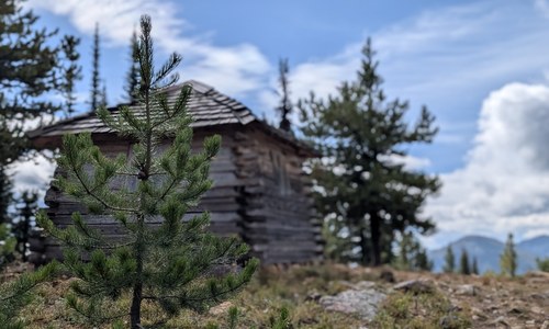 View from the trail