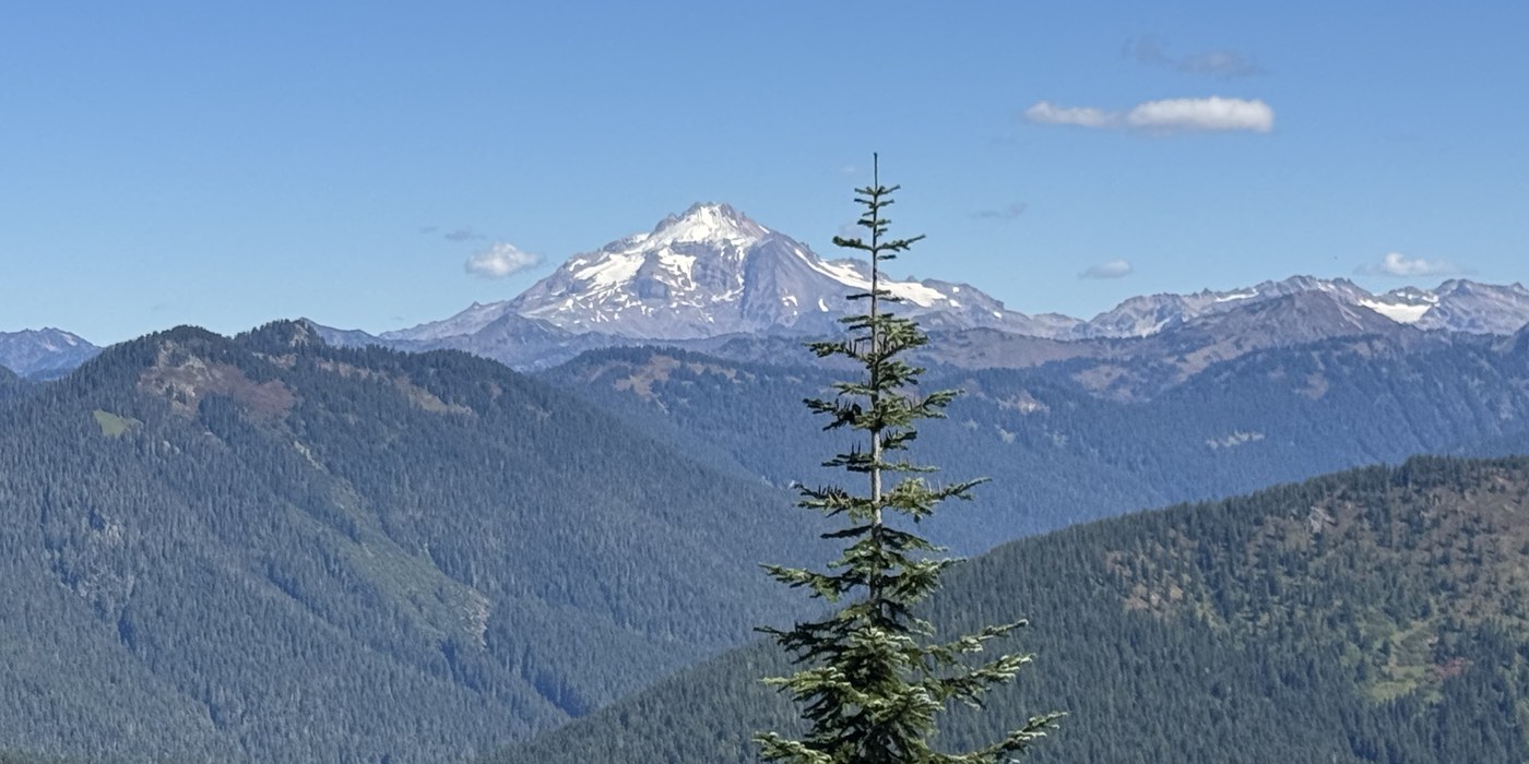Trip Reports