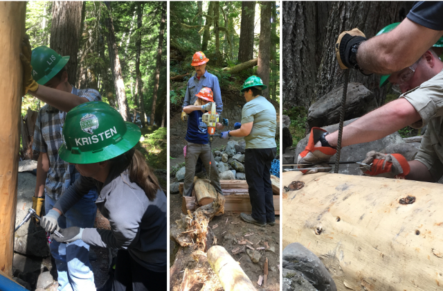 Untitled design(3).png Untitled design(3).png