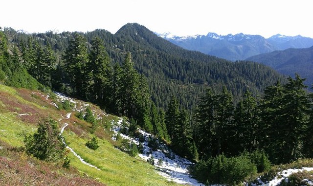 Saving lost trails and passing on essential skills will help protect access to views like this one, from Six Ridge Pass. Photo by rnnrgrl 